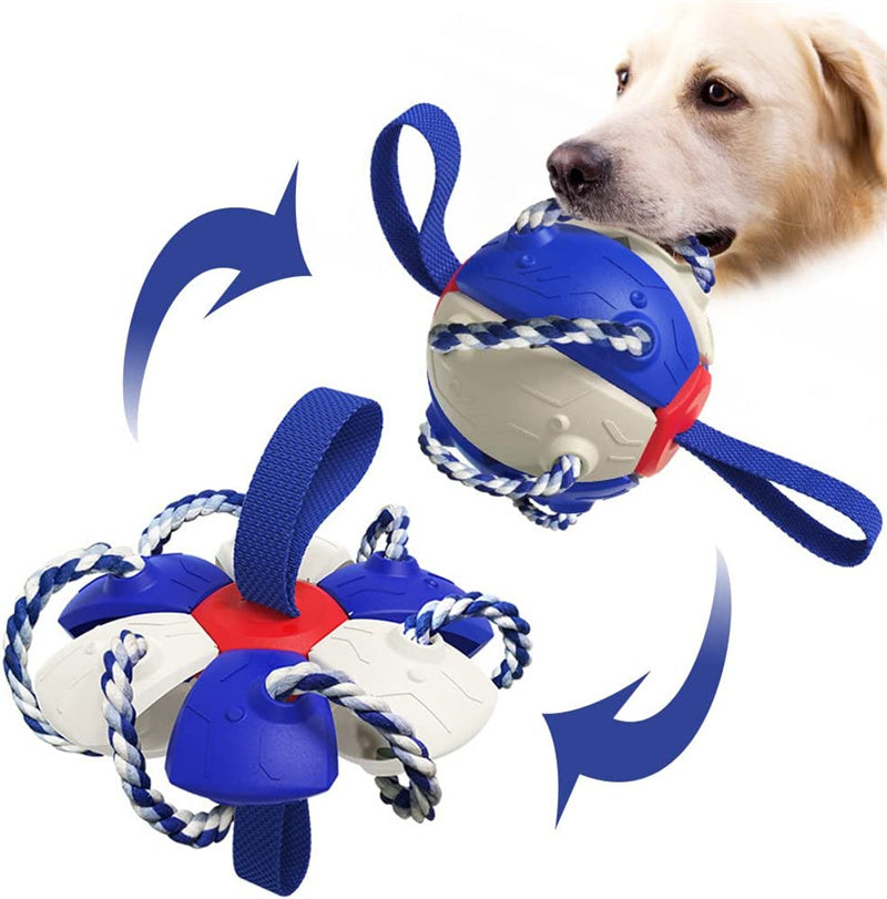 PawsKick Interactive Dog Sport Ball - Penuel's Paw