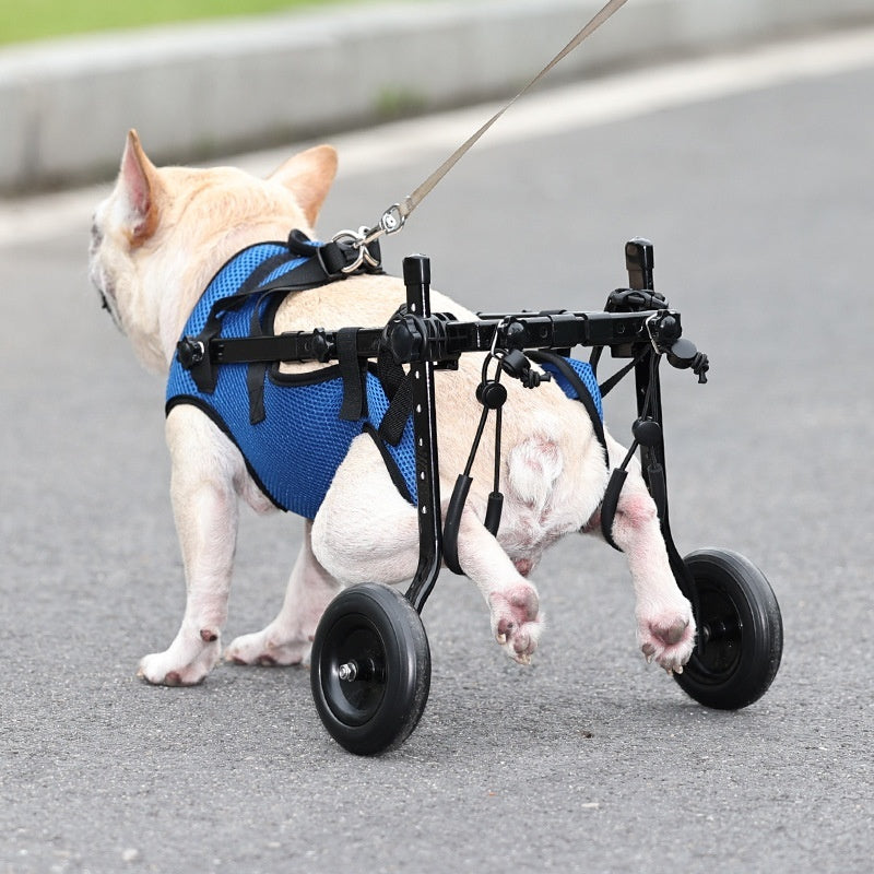 Adjustable Dog Wheelchair – Mobility Scooter for Disabled Pets - Penuel's Paw