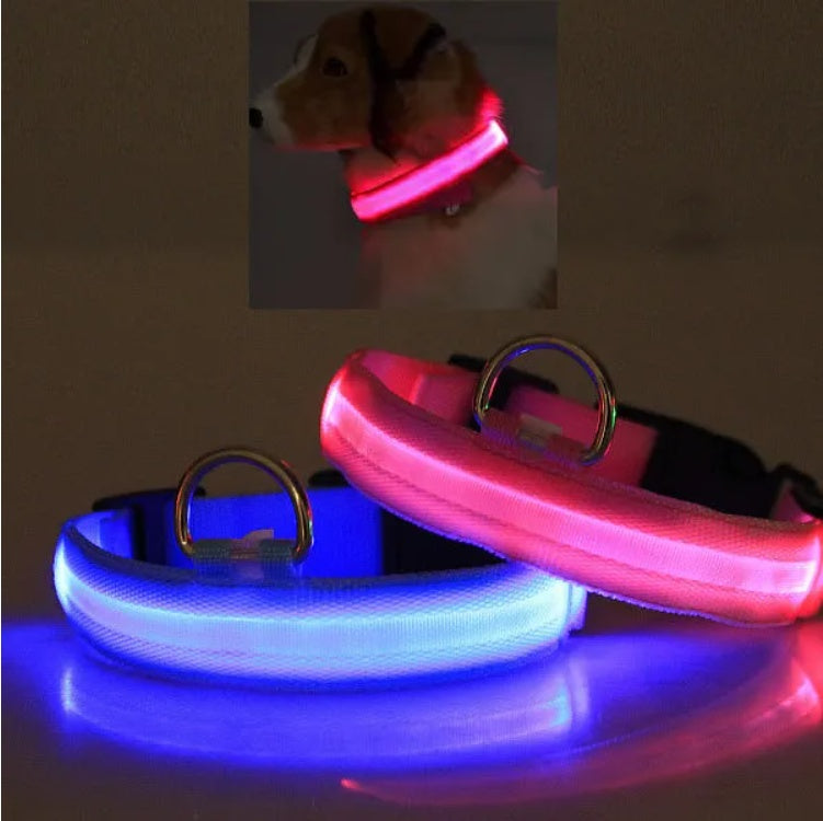 LED Safety Halo Collar – Illuminated Pet Collar for Night Visibility - Penuel's Paw