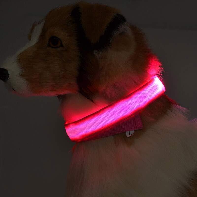 Nylon LED Pet Dog Luminous Collar Night Safety Flashing Glow in Dark Dog Cat Leash Adjustable Pet Supplies - Penuel's Paw