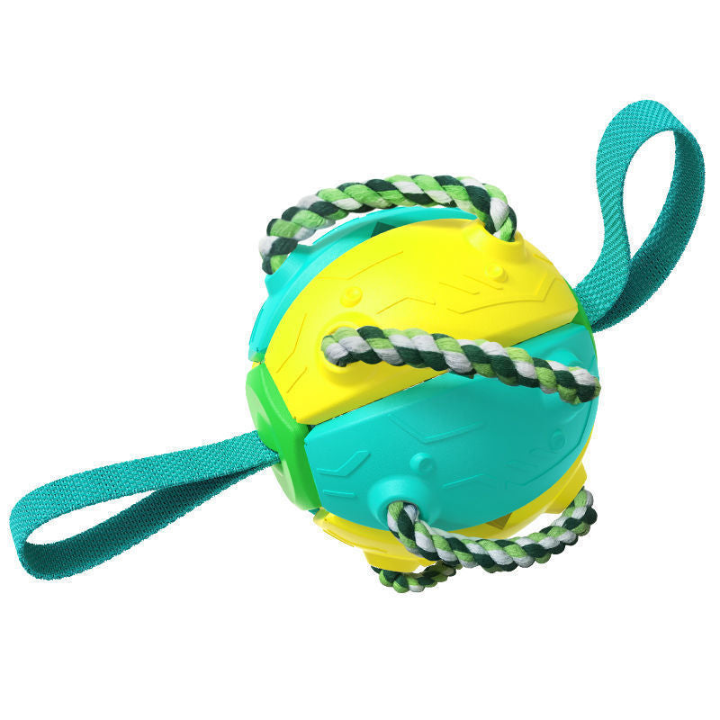 PawsKick Interactive Dog Sport Ball - Penuel's Paw