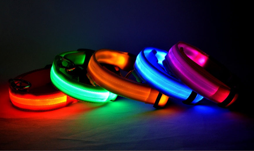 Nylon LED Pet Dog Luminous Collar Night Safety Flashing Glow in Dark Dog Cat Leash Adjustable Pet Supplies - Penuel's Paw