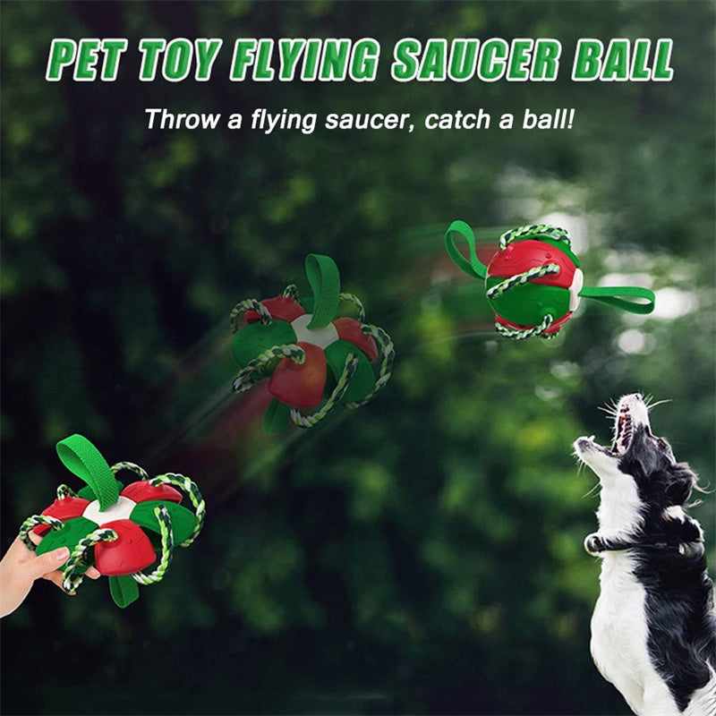 PawsKick Interactive Dog Sport Ball - Penuel's Paw