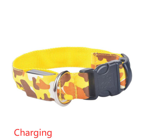 Camouflage pet supplies luminous dog collar - Penuel's Paw