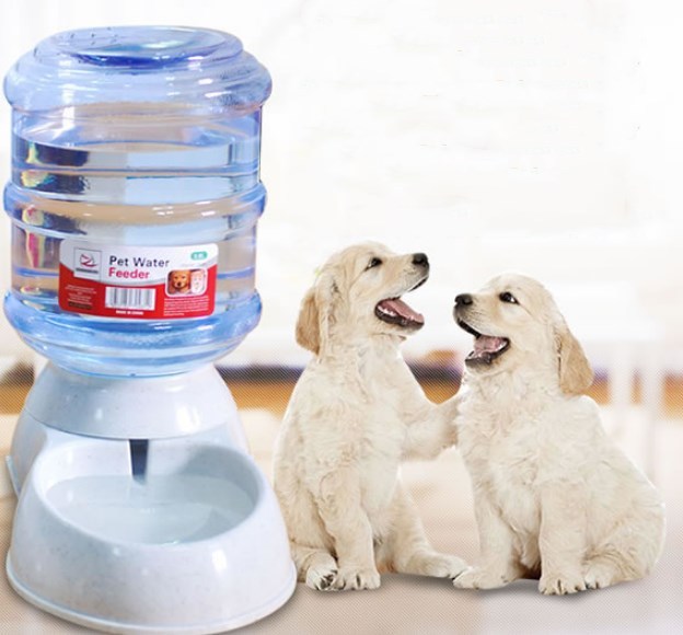 AquaServe Automatic Pet Feeder & Water Fountain - Penuel's Paw