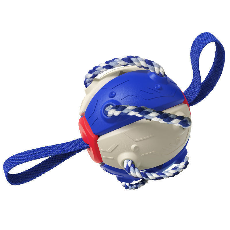PawsKick Interactive Dog Sport Ball - Penuel's Paw