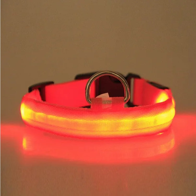 LED Safety Halo Collar – Illuminated Pet Collar for Night Visibility - Penuel's Paw
