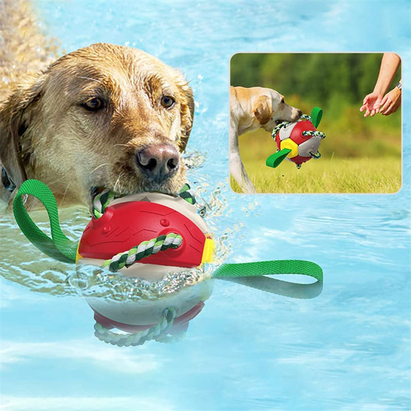 PawsKick Interactive Dog Sport Ball - Penuel's Paw