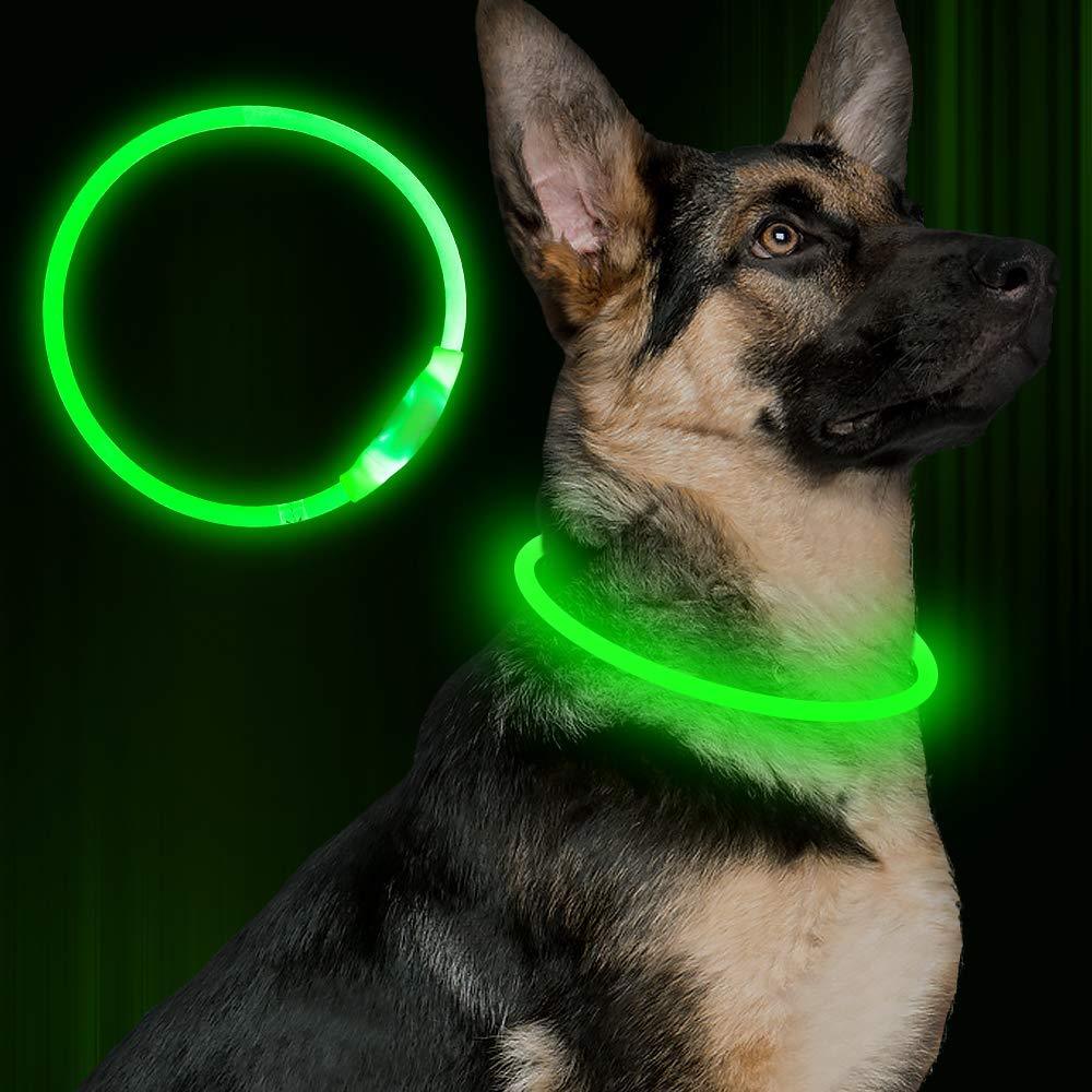 GlowGuard LED Pet Collar - Penuel's Paw