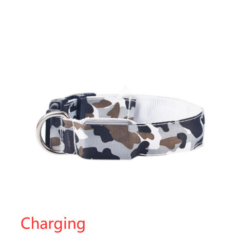 Camouflage pet supplies luminous dog collar - Penuel's Paw